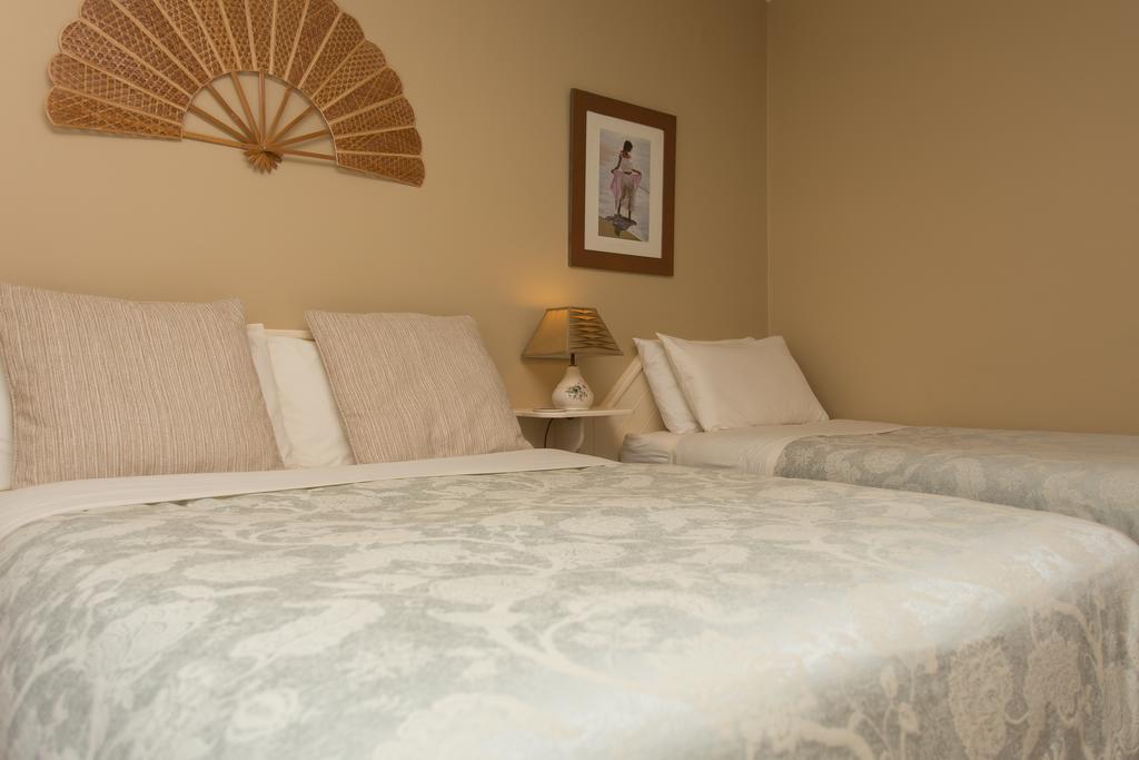 Fern Rock Bed And Breakfast Dromin Exterior foto